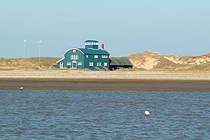 Seals on Blakeney Point