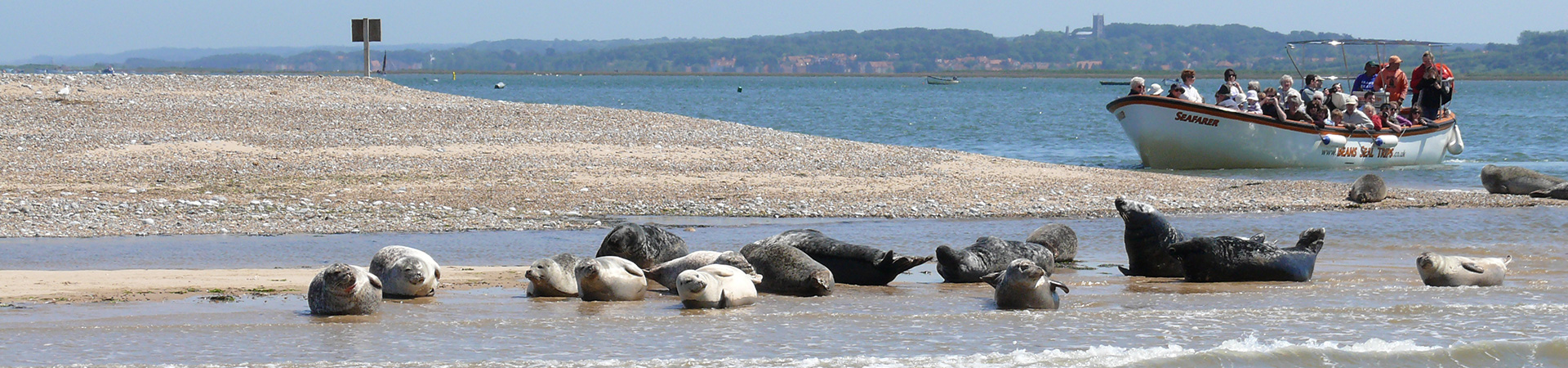 Beans Boats and seals at Blakeney Point