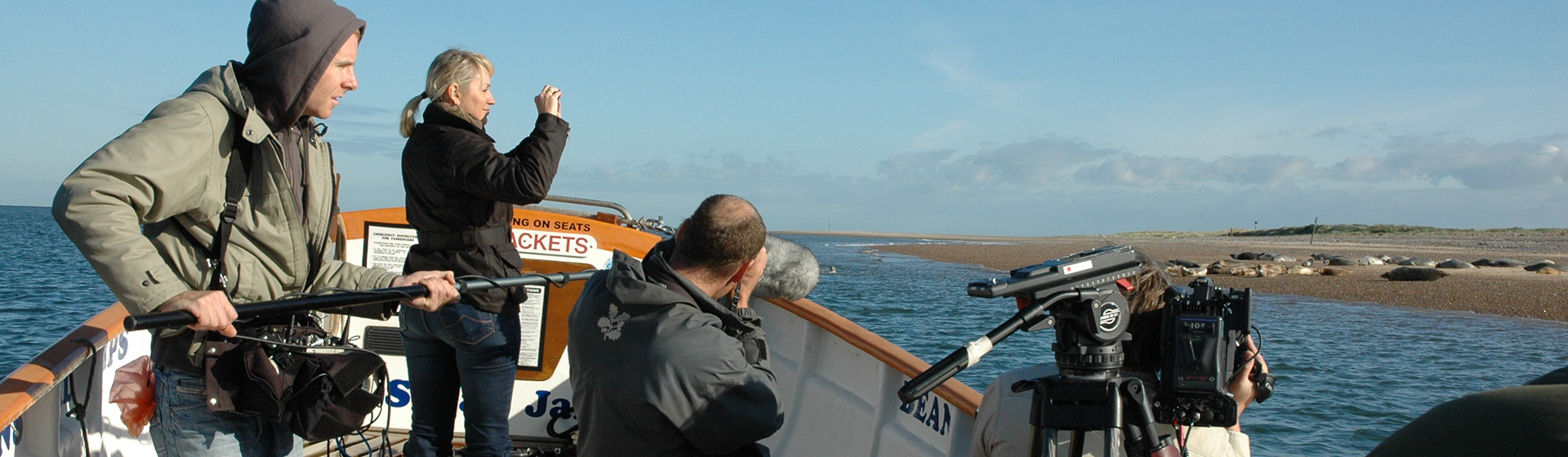 Common Seals hauled out on Blakeney Point