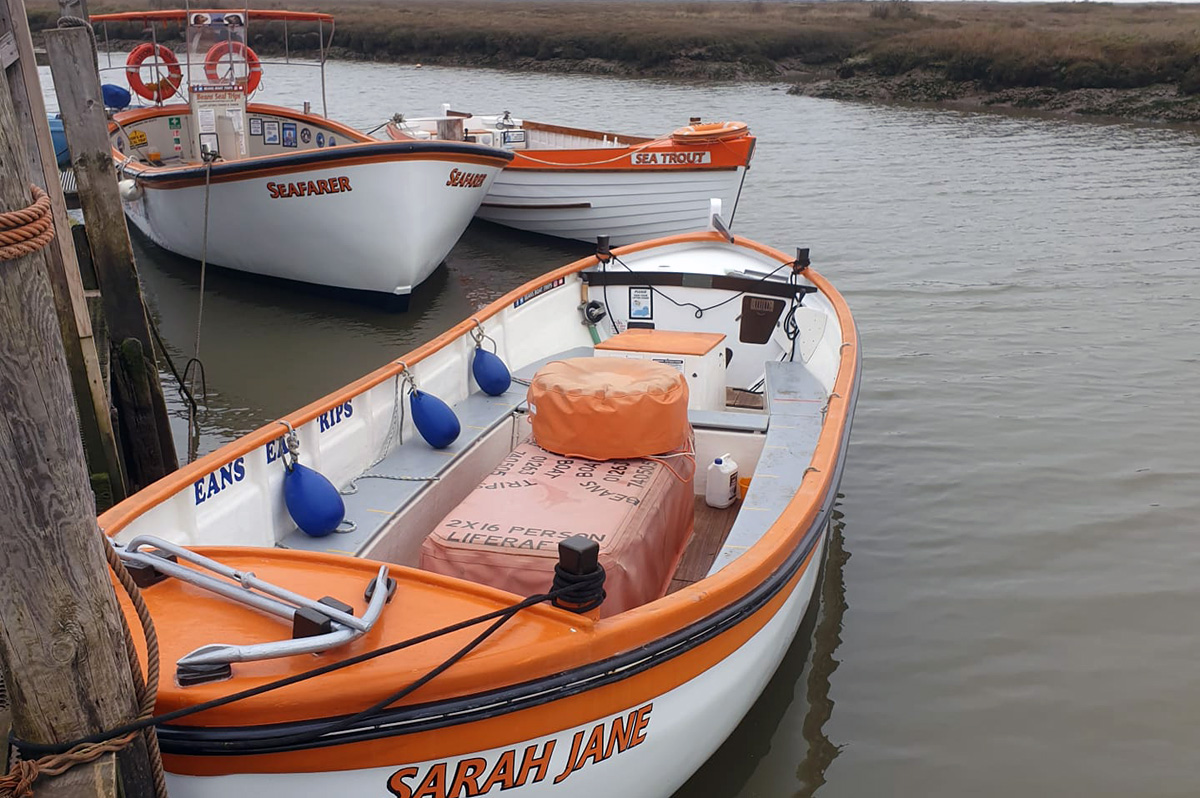 seal boat trips from blakeney