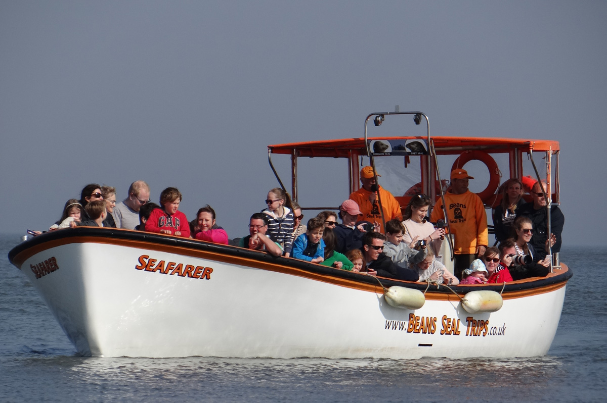 seal boat trips from blakeney