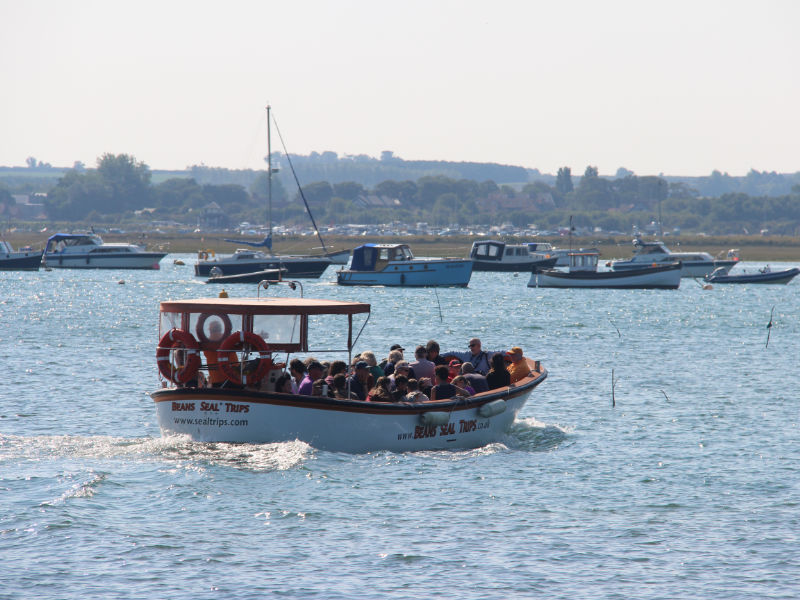 Seafarer with passengers off to see the seals